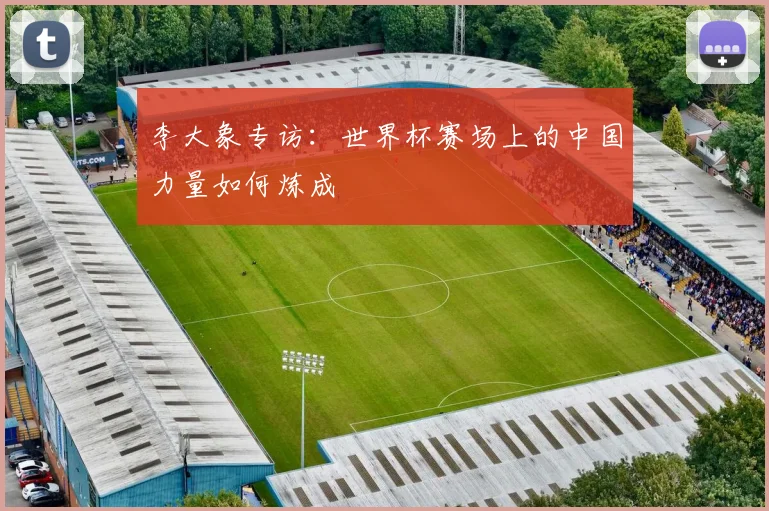 李大象专访：世界杯赛场上的中国力量如何炼成
