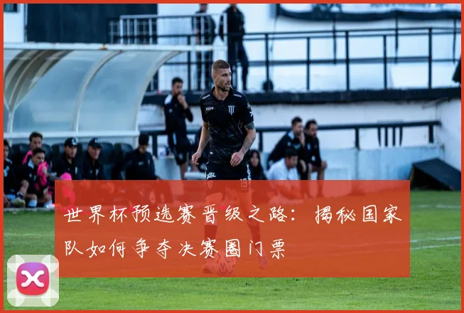 世界杯预选赛晋级之路：揭秘国家队如何争夺决赛圈门票