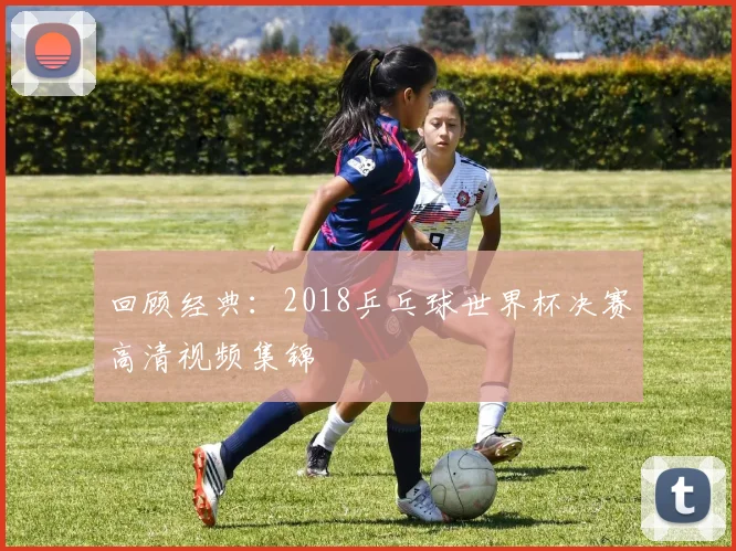 回顾经典：2018乒乓球世界杯决赛高清视频集锦