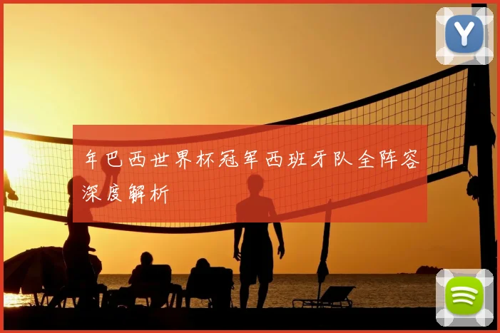 年巴西世界杯冠军西班牙队全阵容深度解析